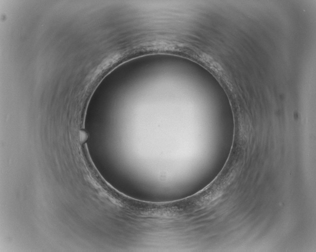 X0000060790625200511171309