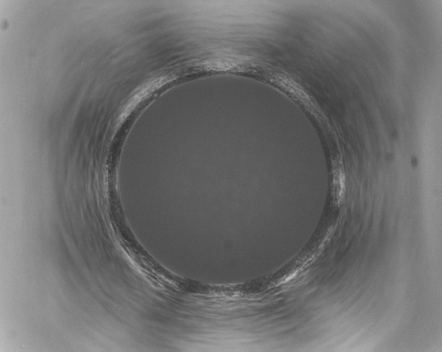 X0000060790626200511171309