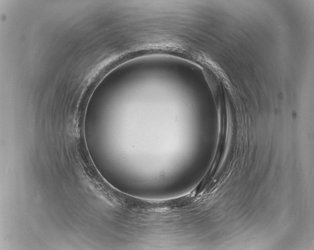 X0000060790628200511171309