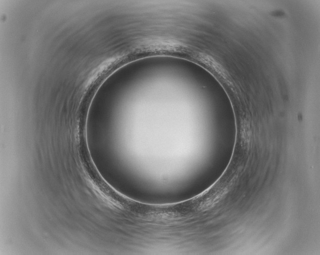 X0000060790629200511171309