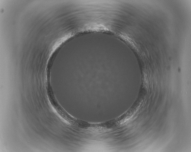 X0000060790630200511171309