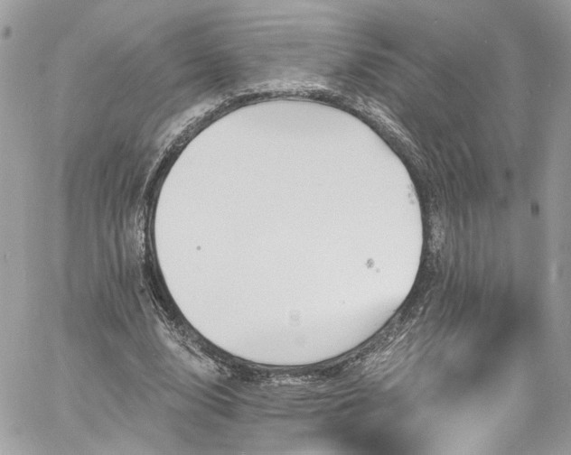 X0000060790632200511171309