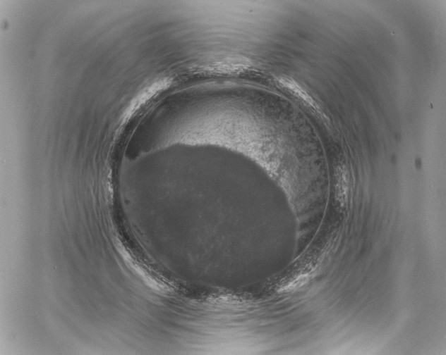 X0000060790634200511171309