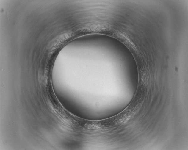 X0000060790635200511171309