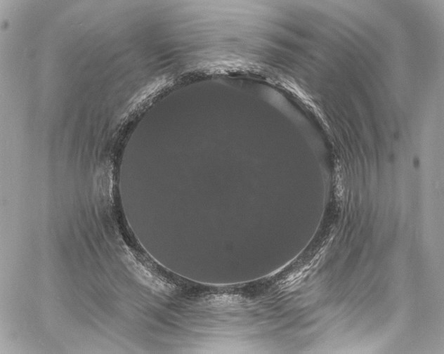 X0000060790637200511171309