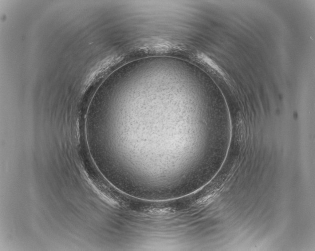 X0000060790638200511171309