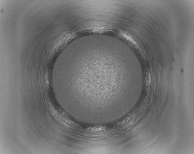 X0000060790639200511171309