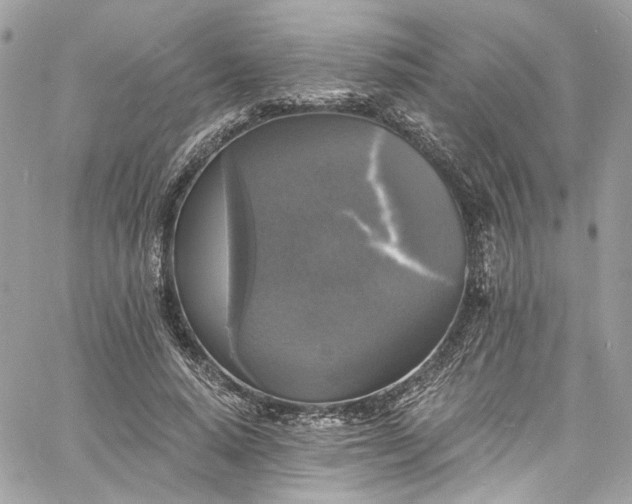 X0000060790640200511171309