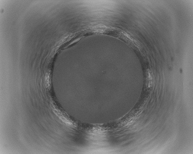 X0000060790641200511171309