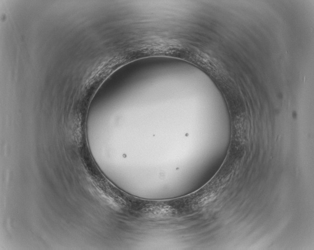 X0000060790642200511171309