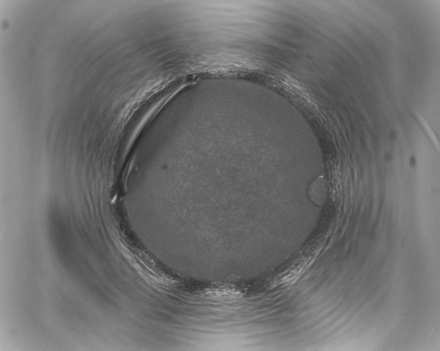 X0000060790644200511171309