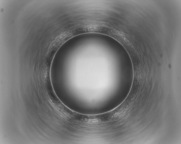 X0000060790645200511171309