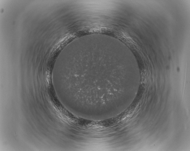 X0000060790648200511171309