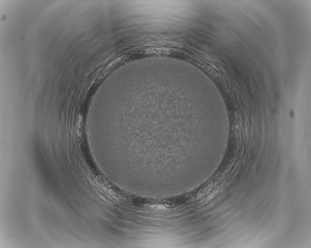 X0000060790649200511171309