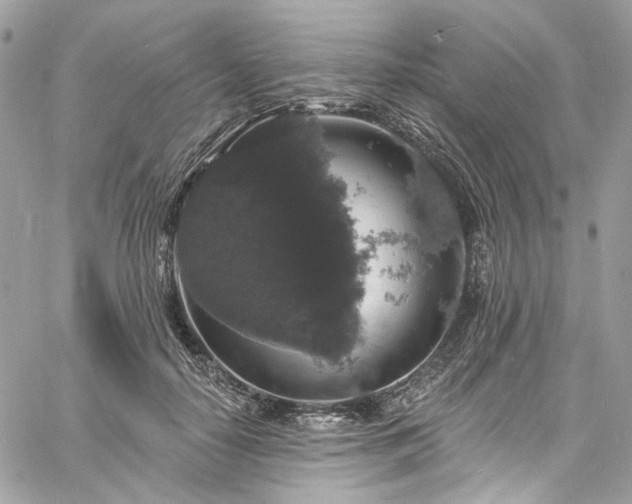 X0000060790650200511171309