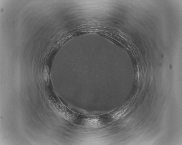 X0000060790651200511171309