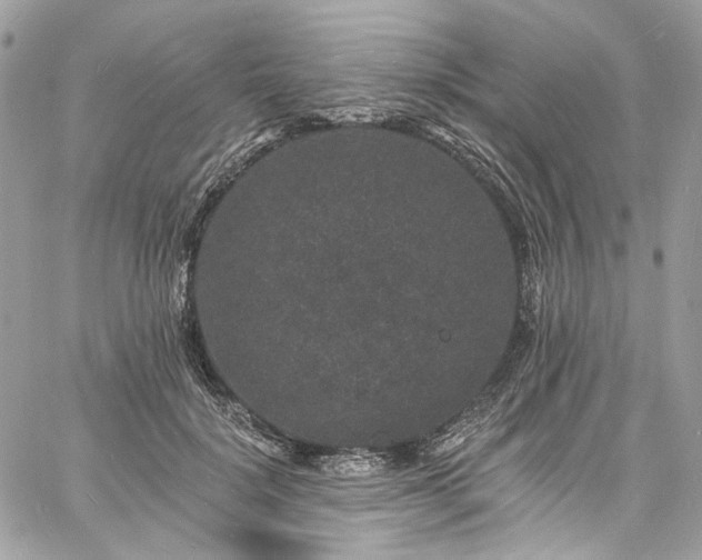 X0000060790652200511171309