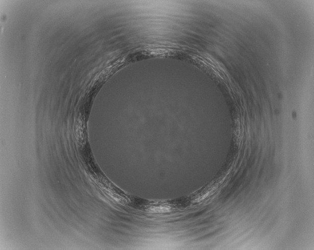 X0000060790653200511171309