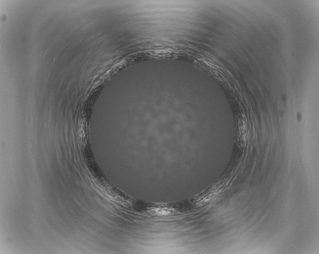 X0000060790654200511171309