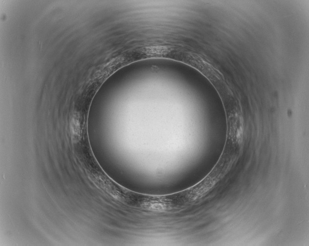 X0000060790655200511171309