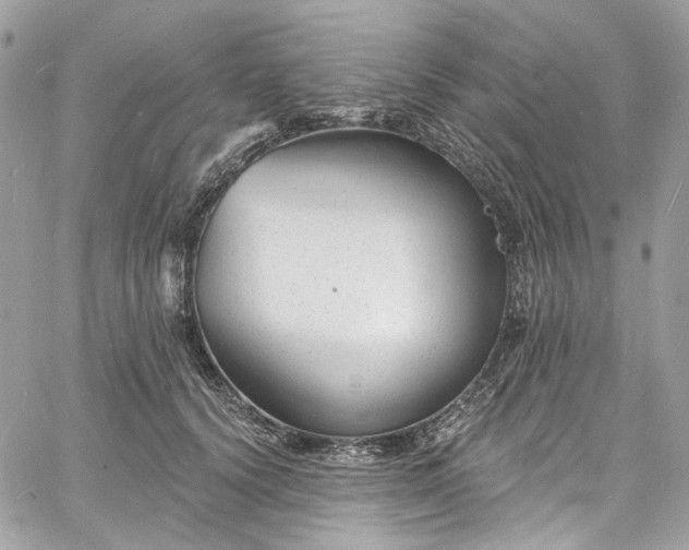 X0000060790656200511171309