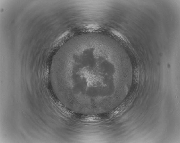 X0000060790657200511171309