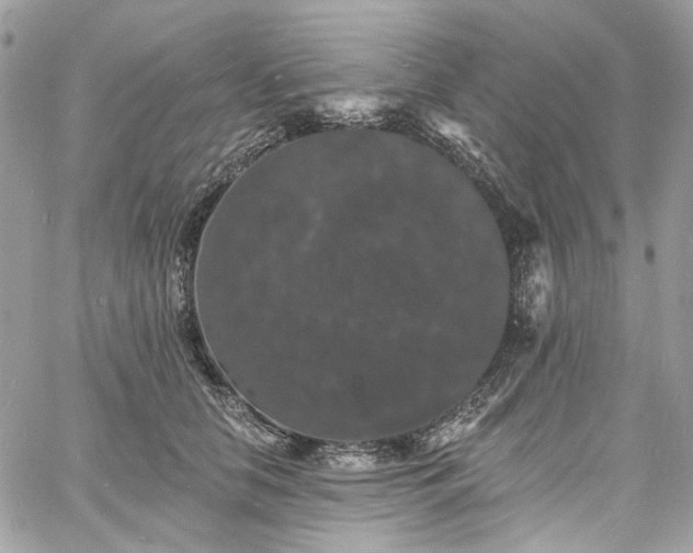 X0000060790658200511171309