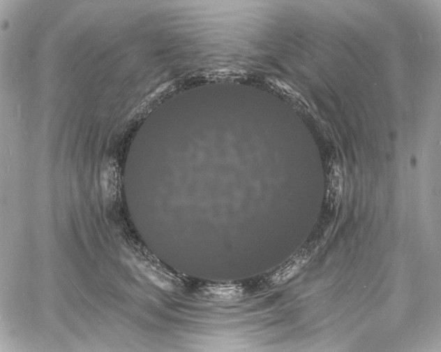 X0000060790659200511171309