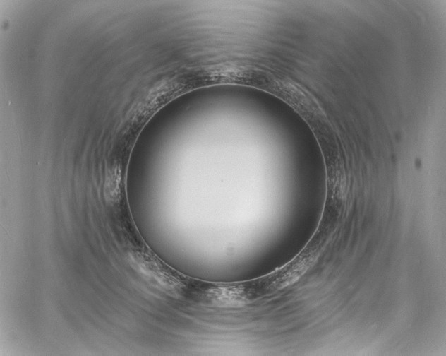 X0000060790660200511171309