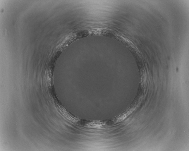 X0000060790661200511171309