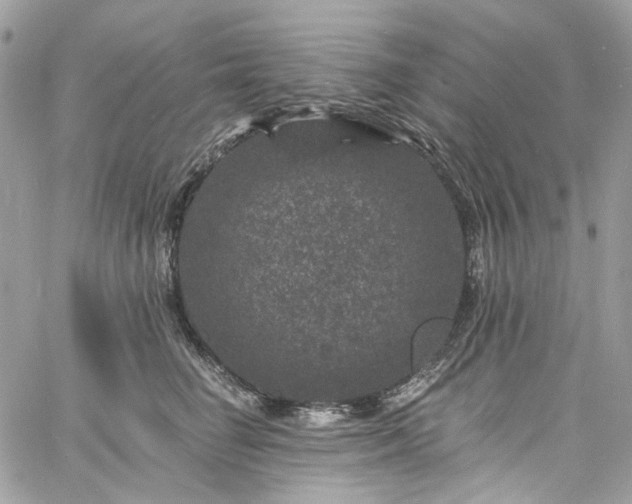 X0000060790662200511171309