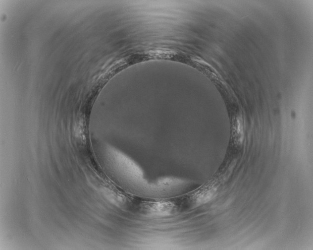 X0000060790663200511171309