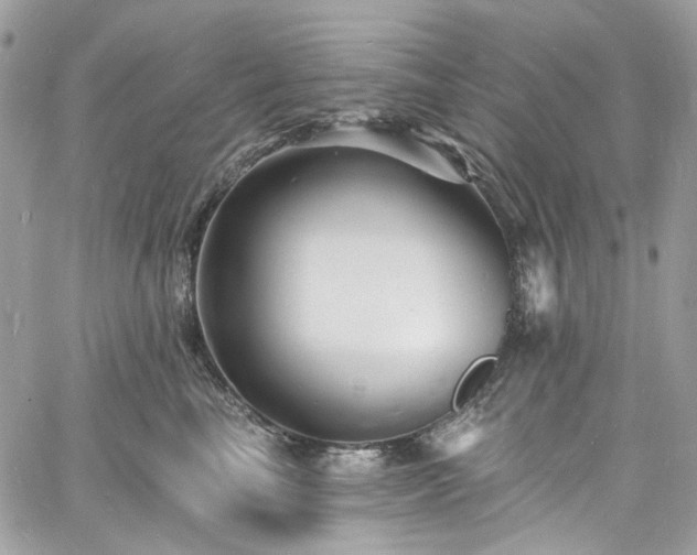 X0000060790665200511171309