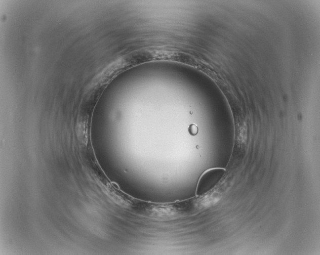 X0000060790666200511171309