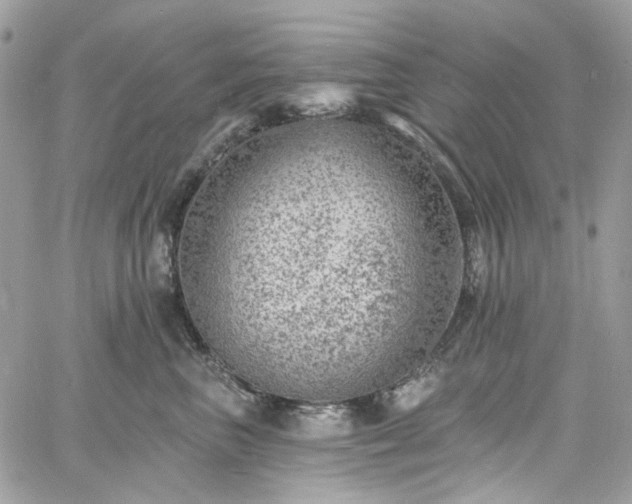 X0000060790667200511171309