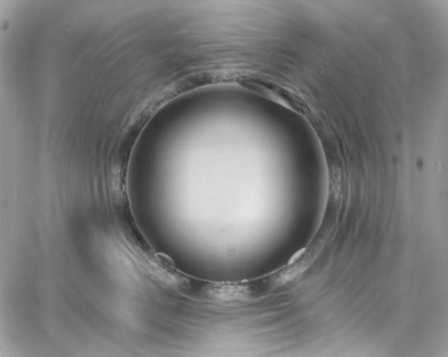 X0000060790670200511171310