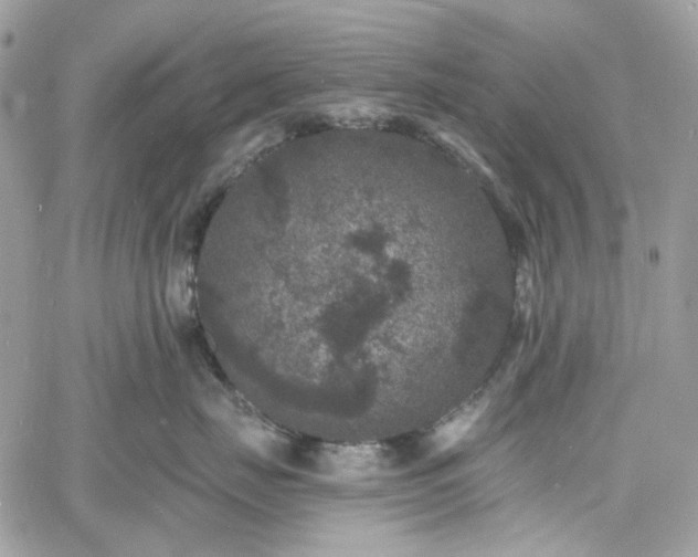 X0000060790671200511171310