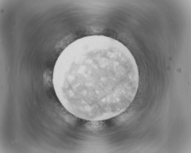 X0000060790672200511171310