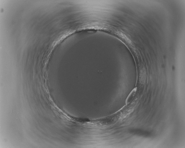 X0000060790673200511171309