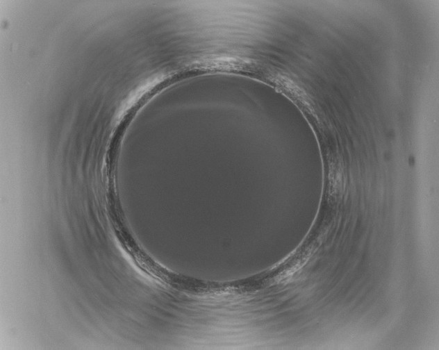 X0000060790674200511171309