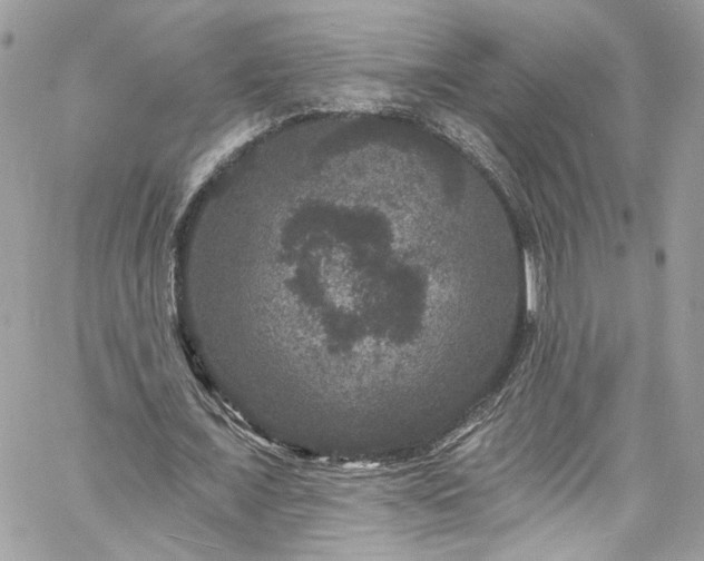 X0000060790675200511171309