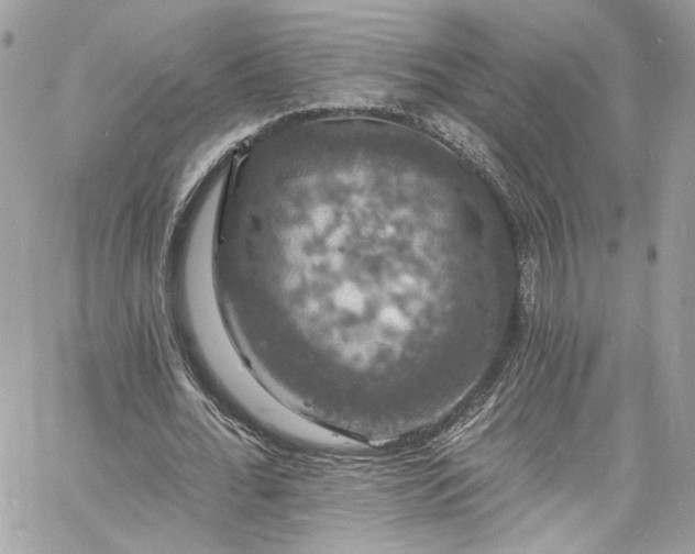 X0000060790676200511171309