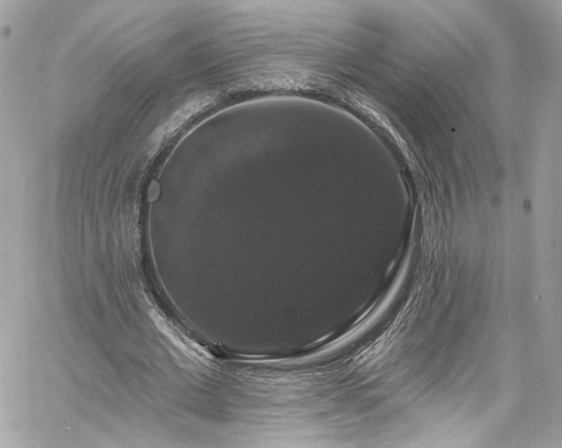 X0000060790677200511171309