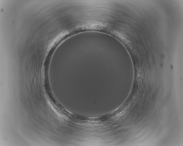 X0000060790678200511171309