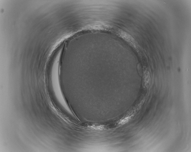 X0000060790680200511171309