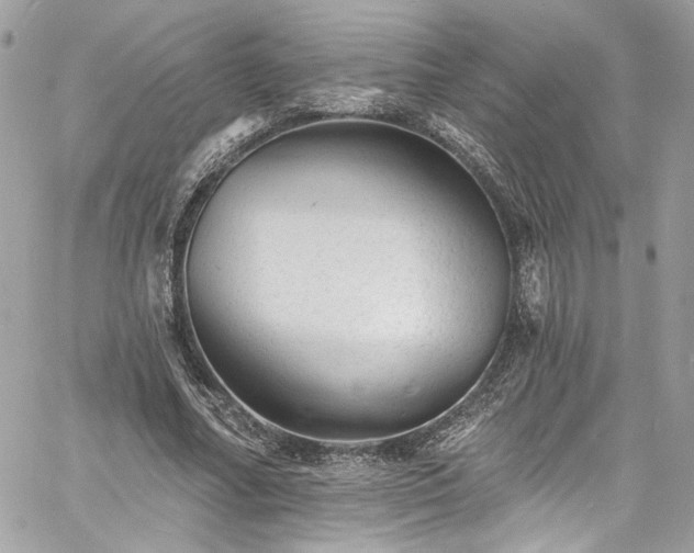 X0000060790682200511171309