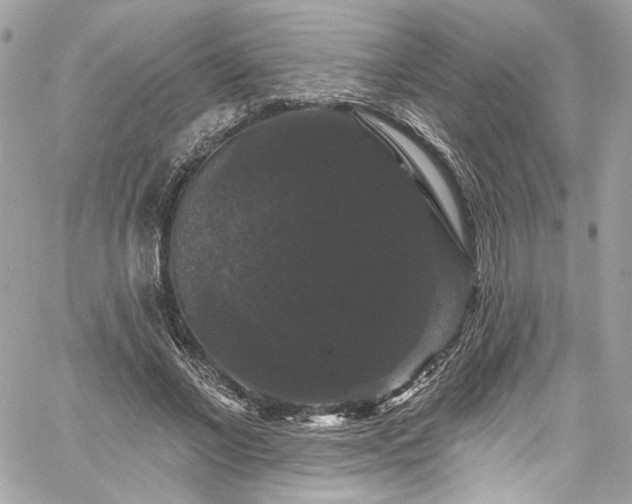 X0000060790685200511171309