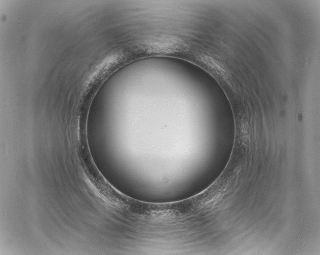 X0000060790686200511171309