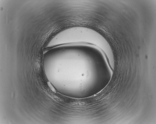 X0000060790691200511171308