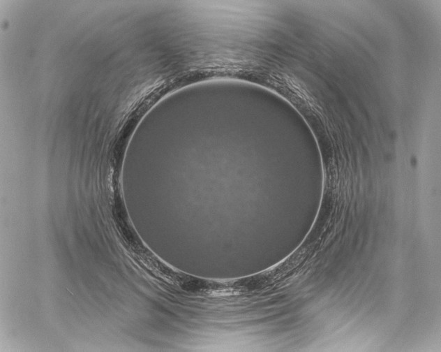 X0000060790692200511171308